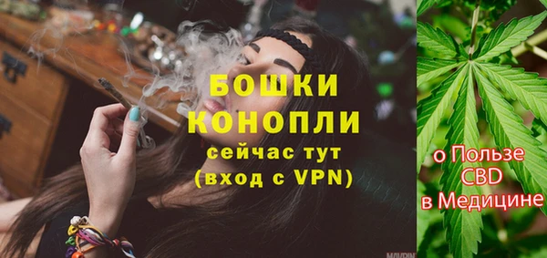МДПВ Карпинск