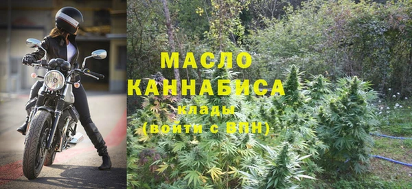 МДПВ Карпинск