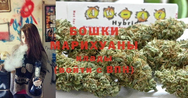ГАЛЛЮЦИНОГЕННЫЕ ГРИБЫ Каменногорск