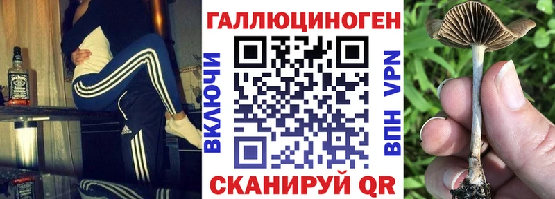 Псилоцибиновые грибы GOLDEN TEACHER  Кораблино 